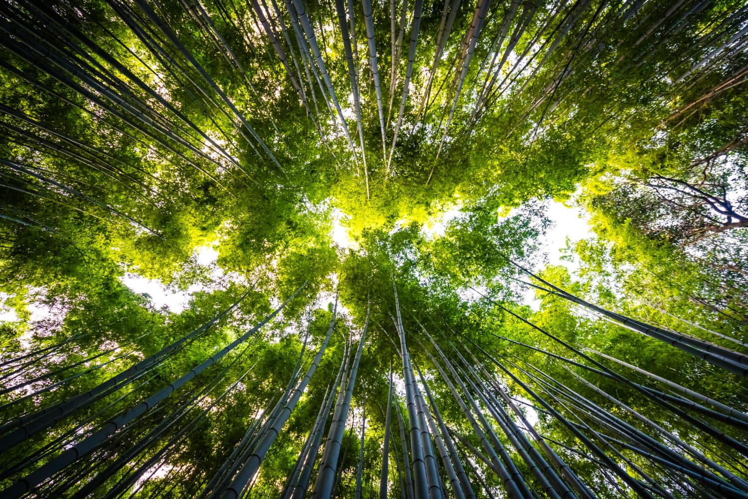 residuos al medioambiente